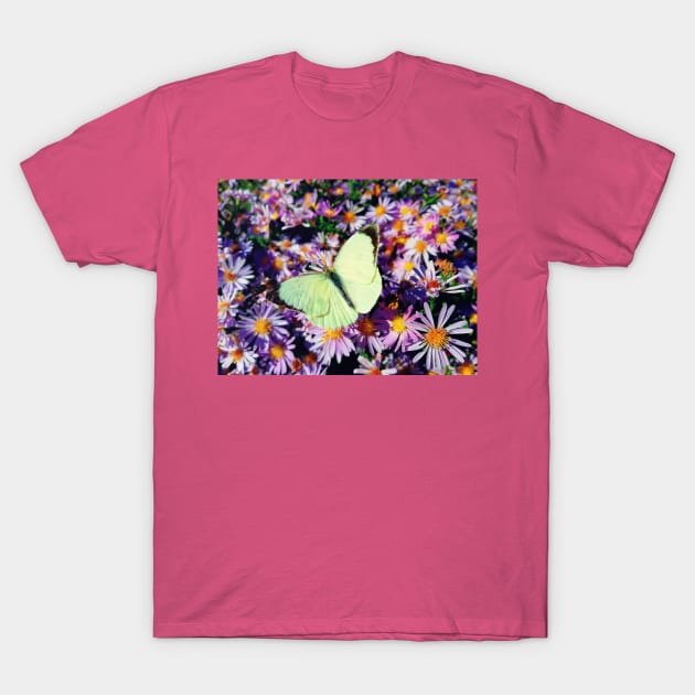 Pieris Rapae T-Shirt by psychoshadow